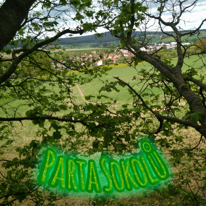 Logo klubu Parta Sokolů